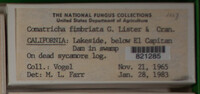 Image Associated With the Occurence